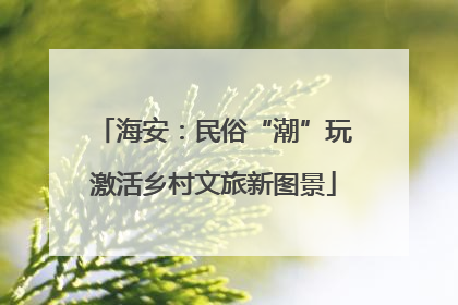 海安：民俗“潮”玩激活乡村文旅新图景