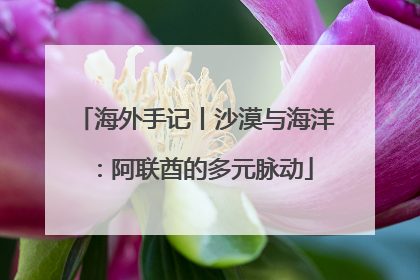 海外手记丨沙漠与海洋：阿联酋的多元脉动