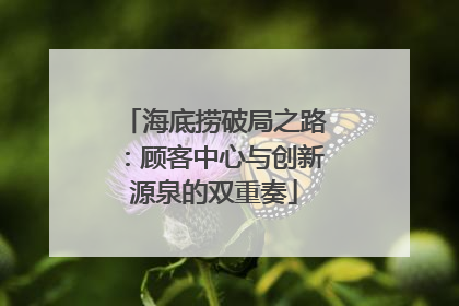 海底捞破局之路：顾客中心与创新源泉的双重奏