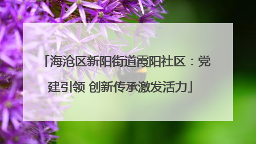 海沧区新阳街道霞阳社区：党建引领 创新传承激发活力