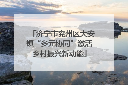 济宁市兖州区大安镇“多元协同”激活乡村振兴新动能