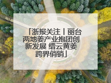 浙报关注丨丽台两地姜产业抱团创新发展 缙云黄姜跨界俏销