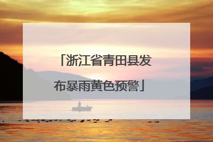 浙江省青田县发布暴雨黄色预警