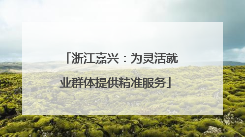 浙江嘉兴：为灵活就业群体提供精准服务