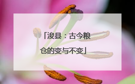 浚县：古今粮仓的变与不变