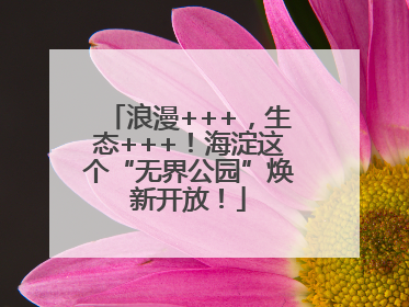 浪漫+++，生态+++！海淀这个“无界公园”焕新开放！