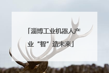 淄博工业机器人产业“智”造未来