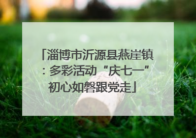 淄博市沂源县燕崖镇：多彩活动“庆七一” 初心如磐跟党走
