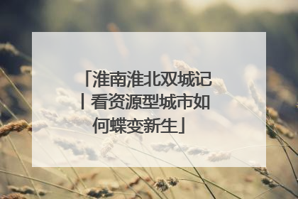 淮南淮北双城记丨看资源型城市如何蝶变新生