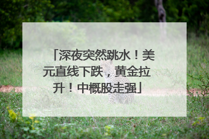 深夜突然跳水！美元直线下跌，黄金拉升！中概股走强