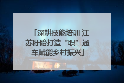 深耕技能培训 江苏盱眙打造“职”通车赋能乡村振兴