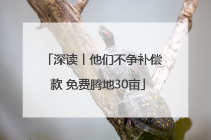 深读丨他们不争补偿款 免费腾地30亩
