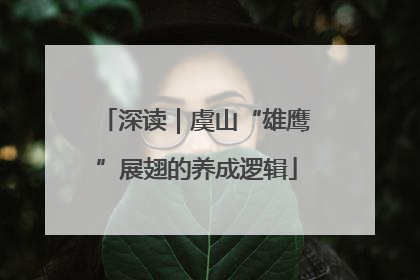 深读｜虞山“雄鹰”展翅的养成逻辑