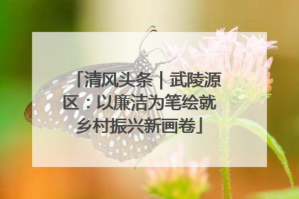 清风头条｜武陵源区：以廉洁为笔绘就乡村振兴新画卷