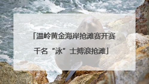 温岭黄金海岸抢滩赛开赛 千名“泳”士搏浪抢滩