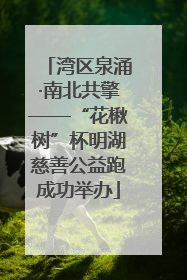 湾区泉涌·南北共擎——“花楸树”杯明湖慈善公益跑成功举办