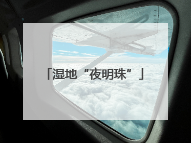 湿地“夜明珠”