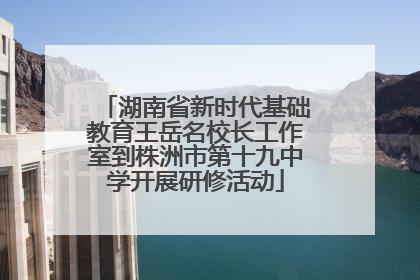 湖南省新时代基础教育王岳名校长工作室到株洲市第十九中学开展研修活动