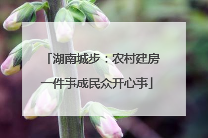 湖南城步：农村建房一件事成民众开心事