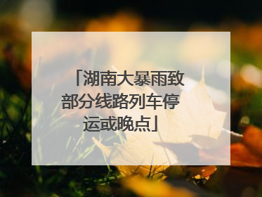 湖南大暴雨致部分线路列车停运或晚点