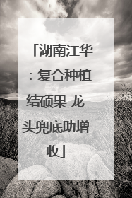 湖南江华：复合种植结硕果 龙头兜底助增收