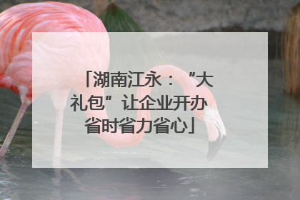 湖南江永：“大礼包”让企业开办省时省力省心