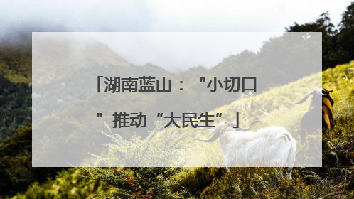 湖南蓝山：“小切口”推动“大民生”