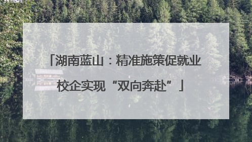 湖南蓝山：精准施策促就业 校企实现“双向奔赴”