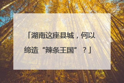 湖南这座县城，何以缔造“辣条王国”？