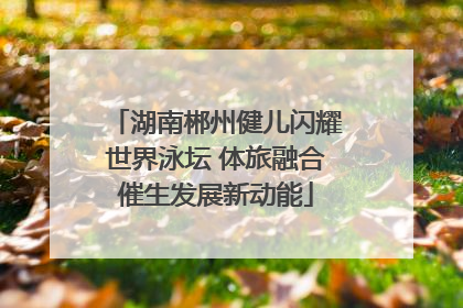 湖南郴州健儿闪耀世界泳坛 体旅融合催生发展新动能