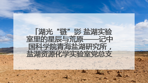 湖光“链”影 盐湖实验室里的星辰与荒原——记中国科学院青海盐湖研究所，盐湖资源化学实验室党总支书记、副主任刘忠