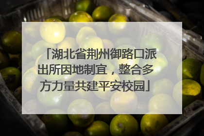 湖北省荆州御路口派出所因地制宜，整合多方力量共建平安校园