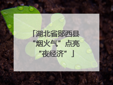 湖北省郧西县“烟火气”点亮“夜经济”