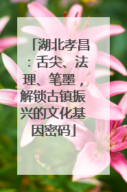 湖北孝昌：舌尖、法理、笔墨，解锁古镇振兴的文化基因密码