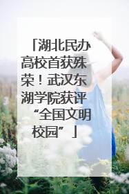 湖北民办高校首获殊荣！武汉东湖学院获评“全国文明校园”