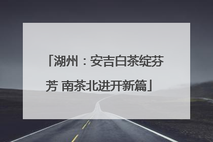 湖州：安吉白茶绽芬芳 南茶北进开新篇
