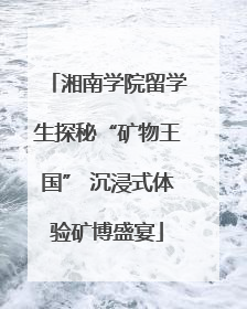 湘南学院留学生探秘“矿物王国” 沉浸式体验矿博盛宴