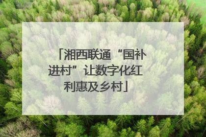 湘西联通“国补进村”让数字化红利惠及乡村