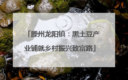 滕州龙阳镇：黑土豆产业铺就乡村振兴致富路