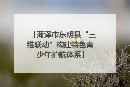 菏泽市东明县“三维联动”构建特色青少年护航体系