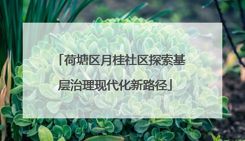 荷塘区月桂社区探索基层治理现代化新路径