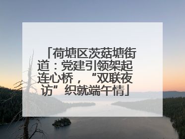 荷塘区茨菇塘街道：党建引领架起连心桥，“双联夜访”织就端午情