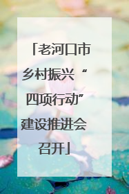 老河口市乡村振兴“四项行动”建设推进会召开