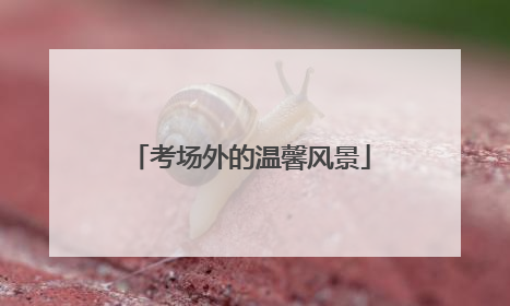 考场外的温馨风景