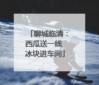 聊城临清：西瓜送一线 冰块进车间