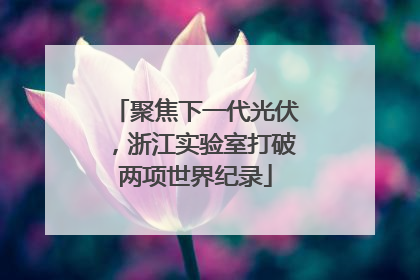 聚焦下一代光伏，浙江实验室打破两项世界纪录