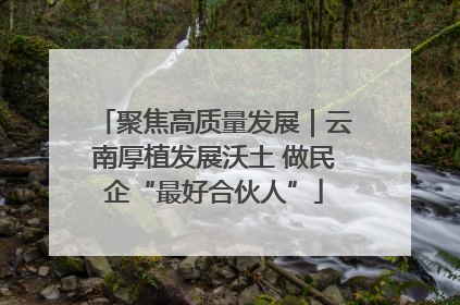 聚焦高质量发展｜云南厚植发展沃土 做民企“最好合伙人”