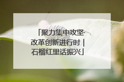 聚力集中攻坚·改革创新进行时｜石榴红里话振兴