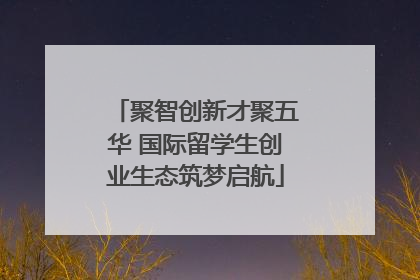 聚智创新才聚五华 国际留学生创业生态筑梦启航