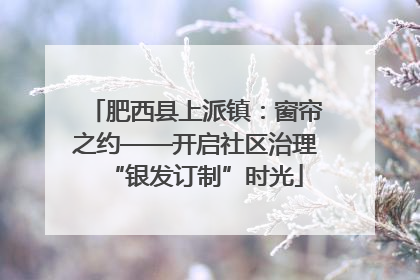 肥西县上派镇：窗帘之约——开启社区治理“银发订制”时光